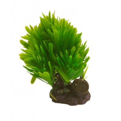 ΔΙΑΚΟΣΜΗΤΙΚΟ ΦΥΤΟ ΕΝΥΔΡΕΙΟΥ 14.5CM